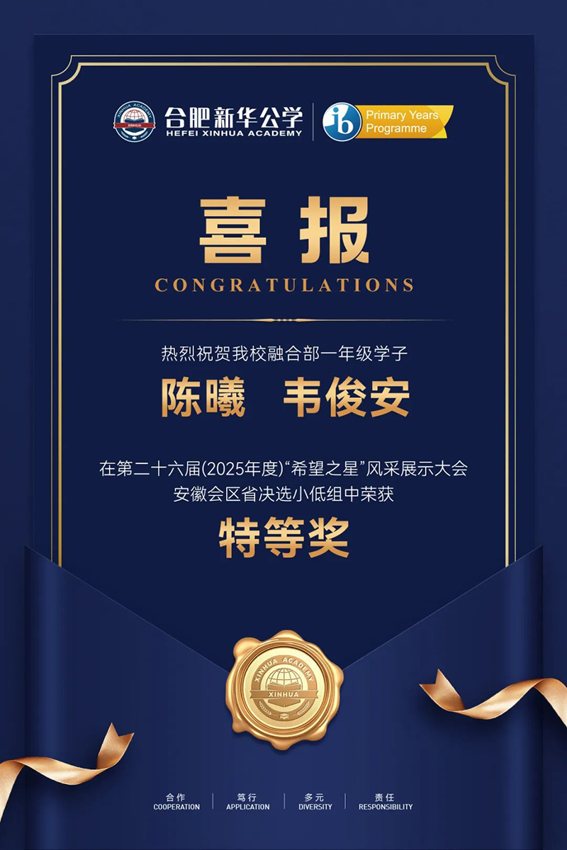 喜报 | 合肥YH533388银河公学融合部学子在“希望之星”风采展示大会中斩获特等奖